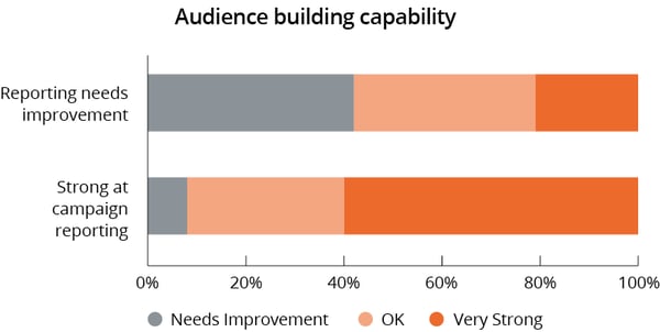 audience-building-capability-vs-campaign-reporting