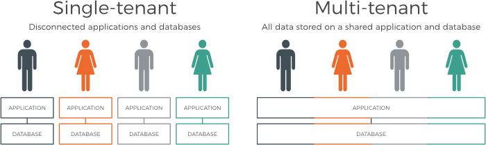 Multi-tenant environments mean users can share a single instance